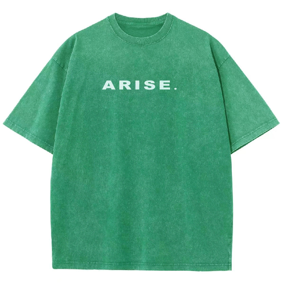 Solo Leveling Unisex Fit Washed T-Shirt 250207205