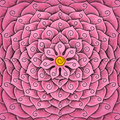Bandeau à fleurs - une pièce