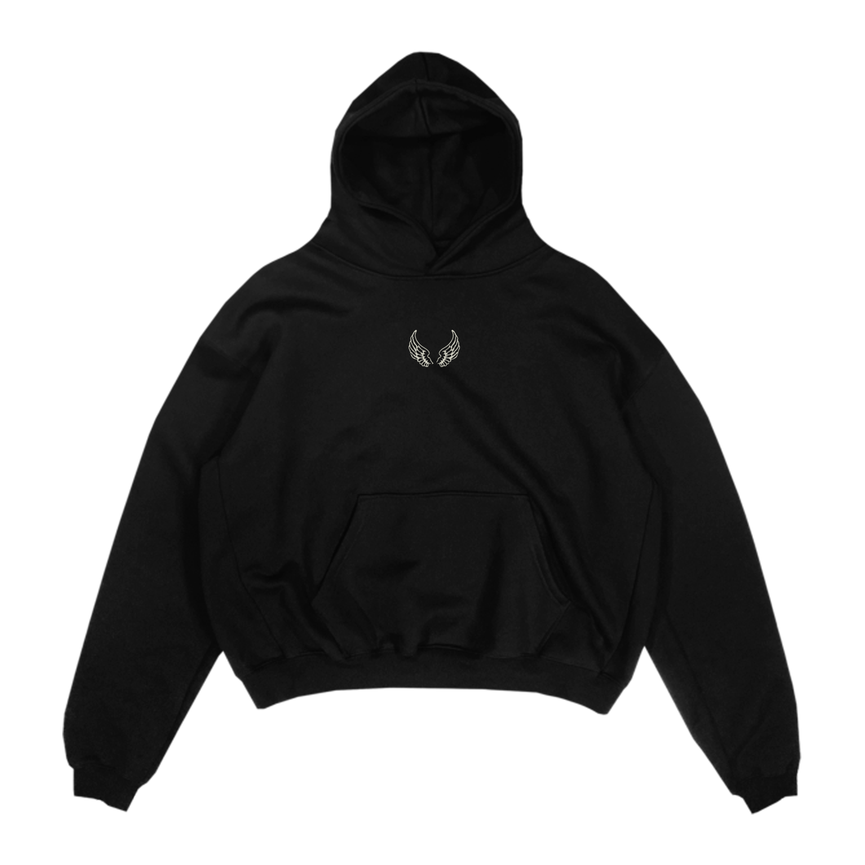 SWEAT À CAPUCHE WINGS (EPAIS)