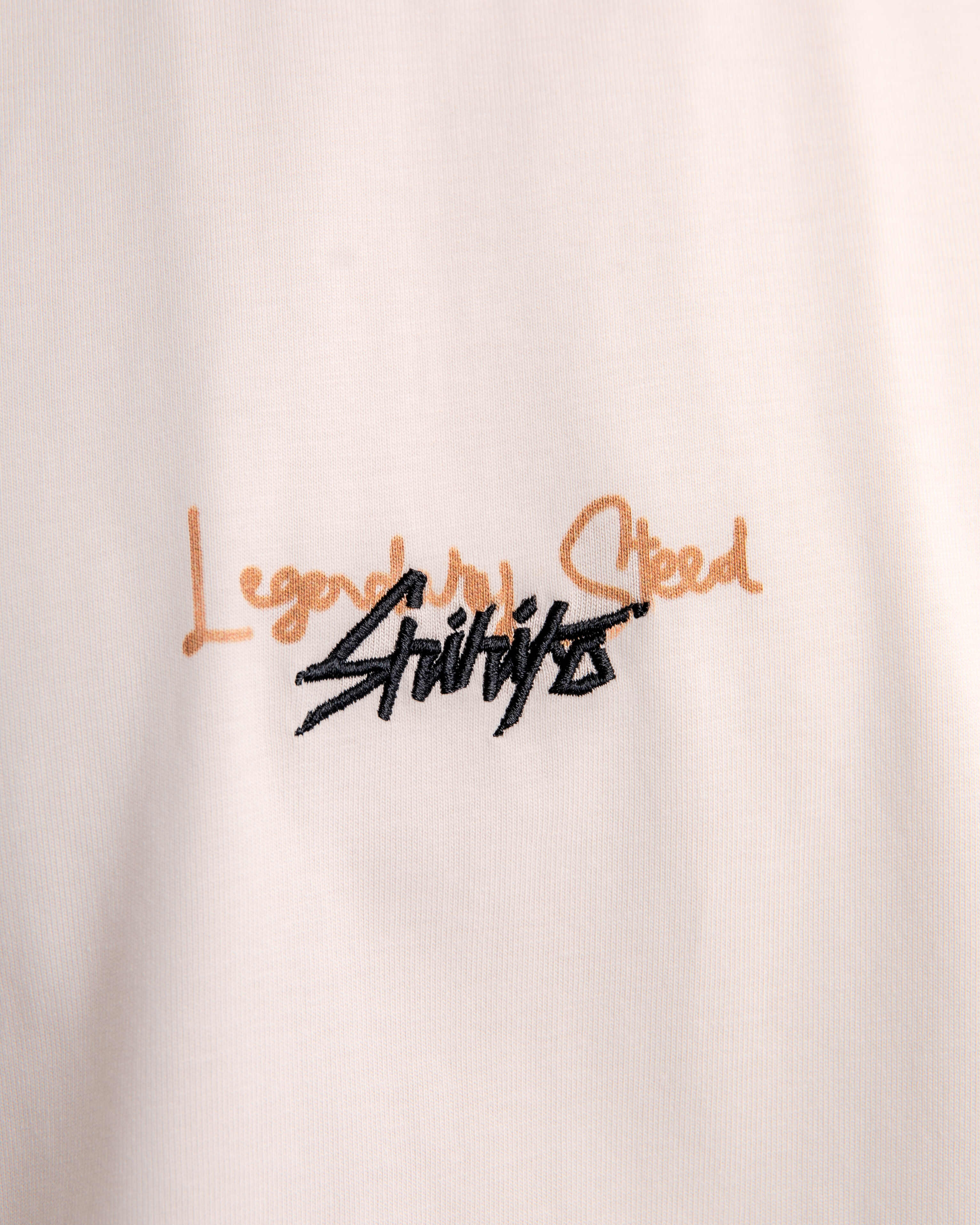 Camiseta del Corcel Legendario